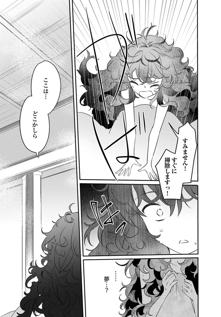 Hikikomori Reijou nano ni, Koori no Hnekyouhaku no Hanayome (Kikan Gentei) ni Erabarete shimatta Chapter 2 29ページ