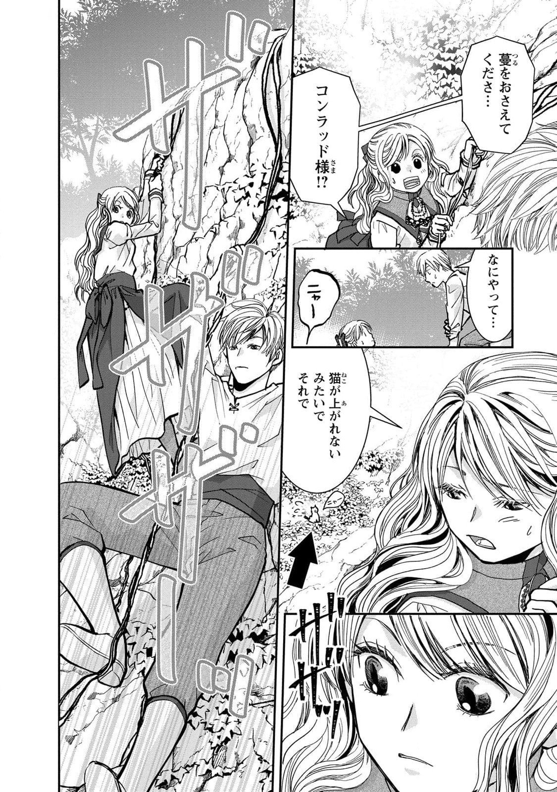 Konse wa Akujo de Ikinobimasu! - Tamanokoshi wa Shibou Flag no de, Ochikobore Muko ni Shimasu Chapter 5 40ページ
