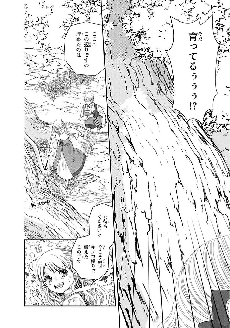 Konse wa Akujo de Ikinobimasu! - Tamanokoshi wa Shibou Flag no de, Ochikobore Muko ni Shimasu Chapter 10 26ページ