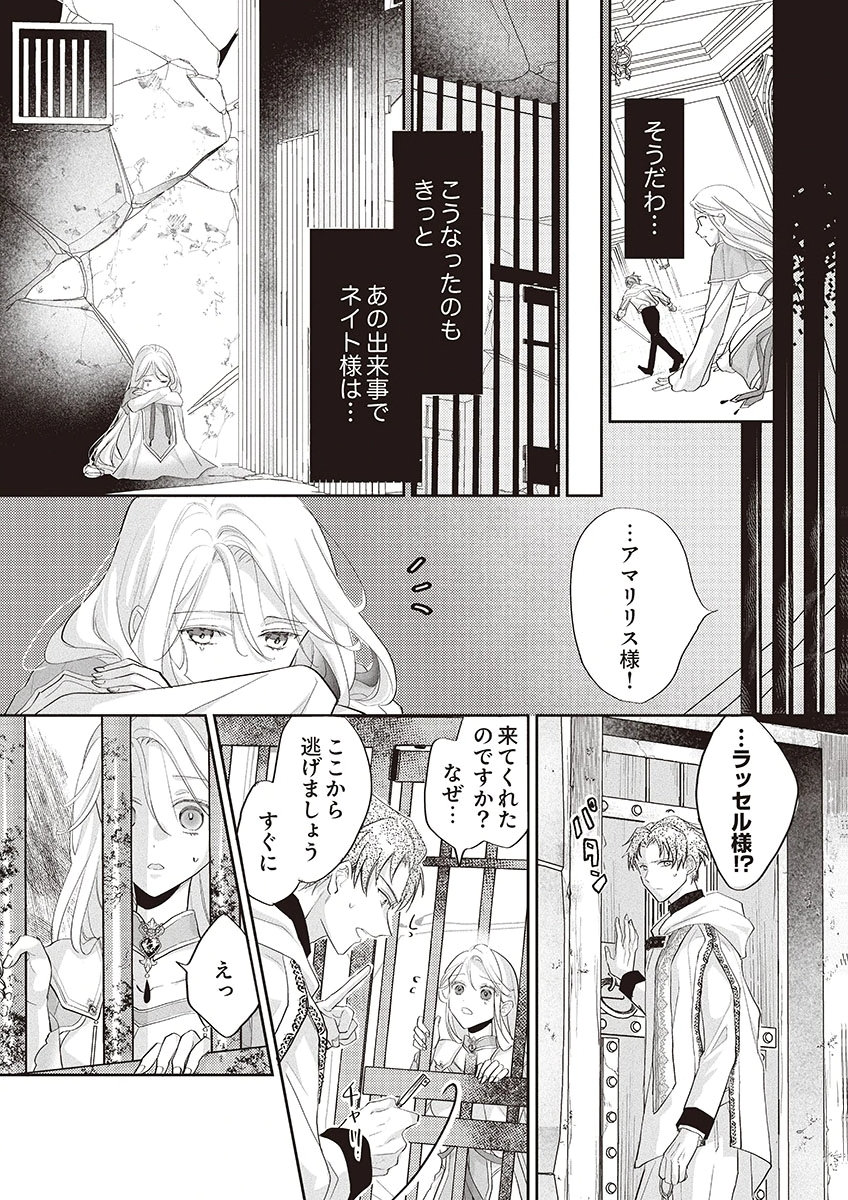 Nisemono da to Tekikoku ni Tsuihousaremashita ga, Douyara Honmono Seijo wa Watashi no You Desu Chapter 1 26ページ