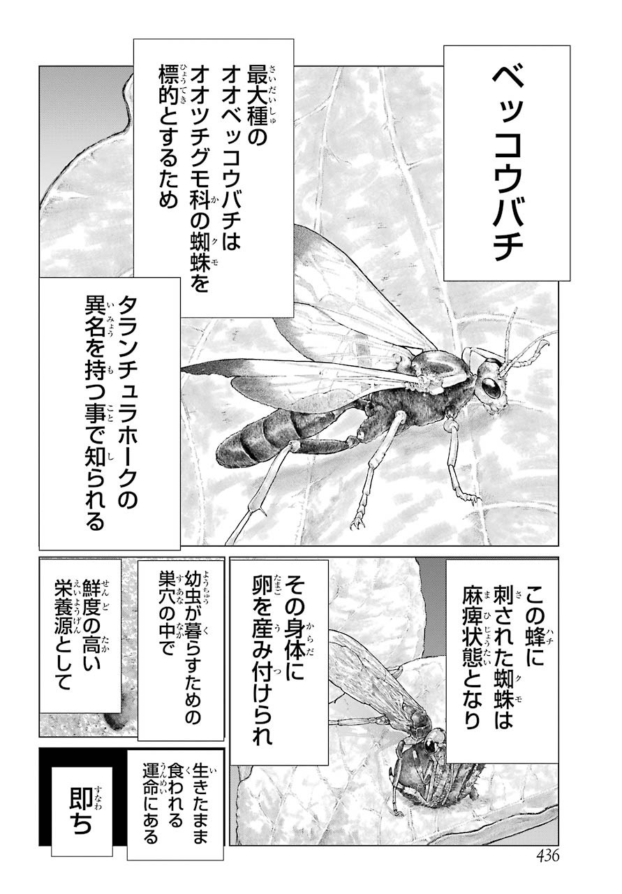 Blattodea Chapter 10 18ページ