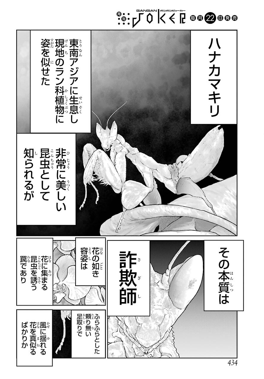 Blattodea Chapter 15 10ページ