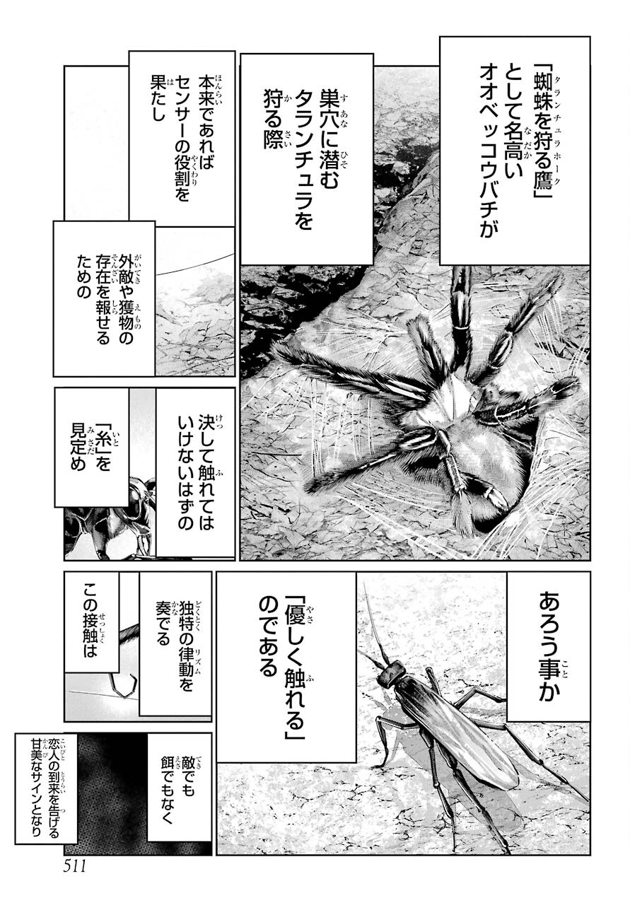 Blattodea Chapter 19 17ページ