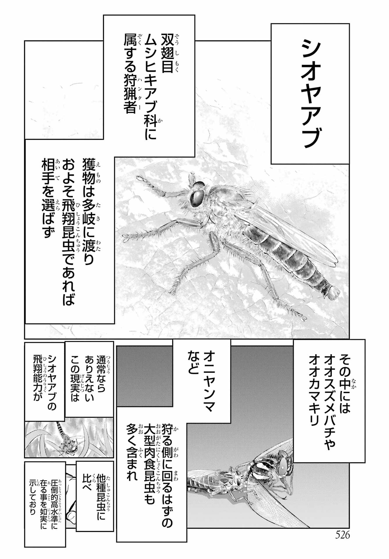 Blattodea Chapter 29 6ページ