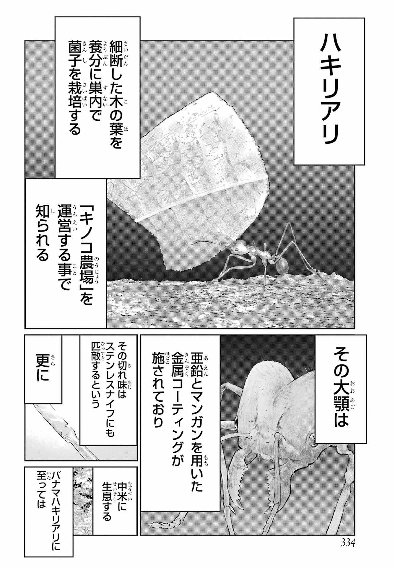 Blattodea Chapter 32 6ページ