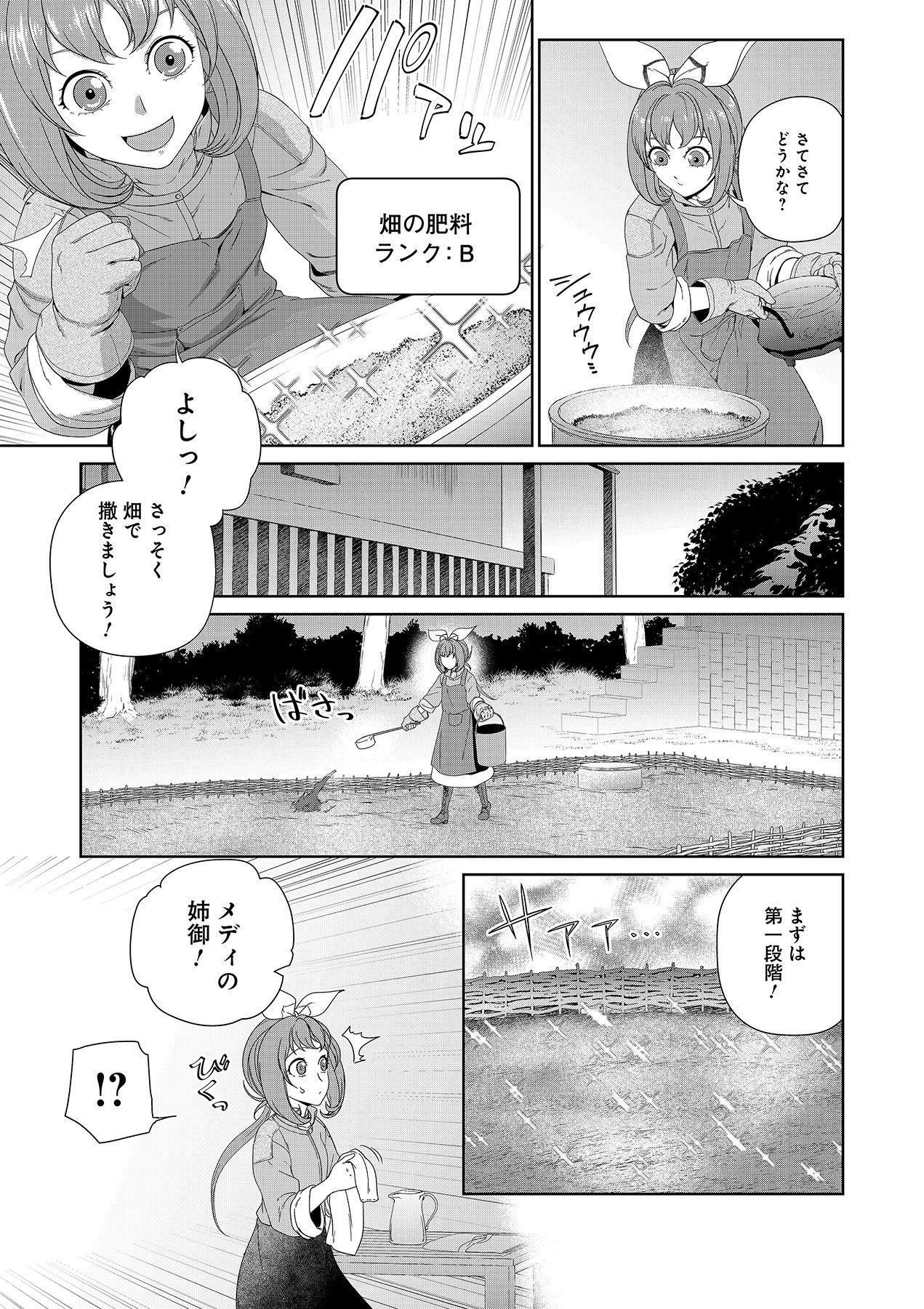 Okusuri, Dashimasu! Tsuihou Sareta Kusushi no Shoujo wa, Kiwameta Potion de Henkyou no Kusuriya Kara Nariagaru Chapter 4 15ページ