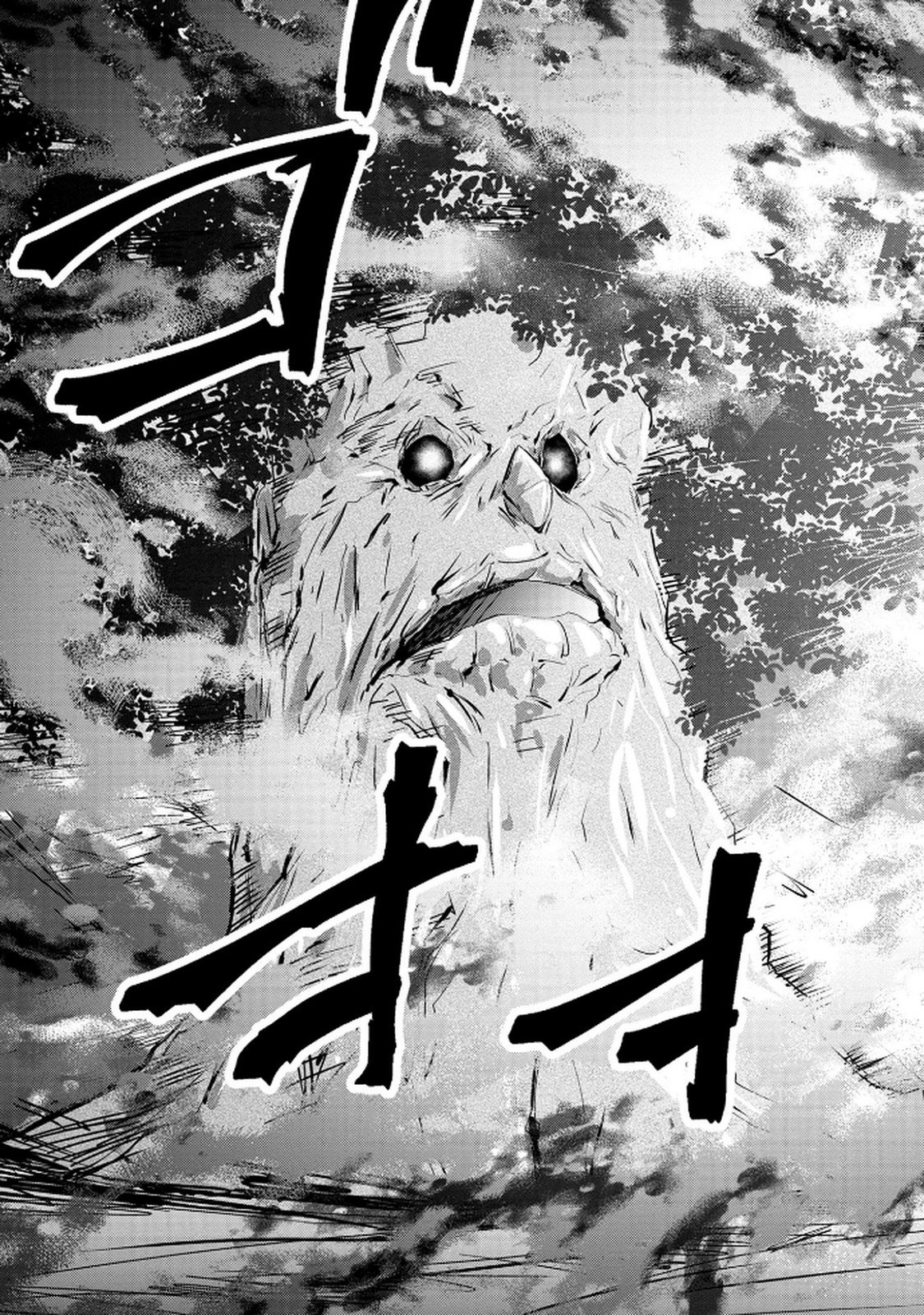 Kamigami no Kennou wo Ayatsurishi Mono Chapter 13 17ページ