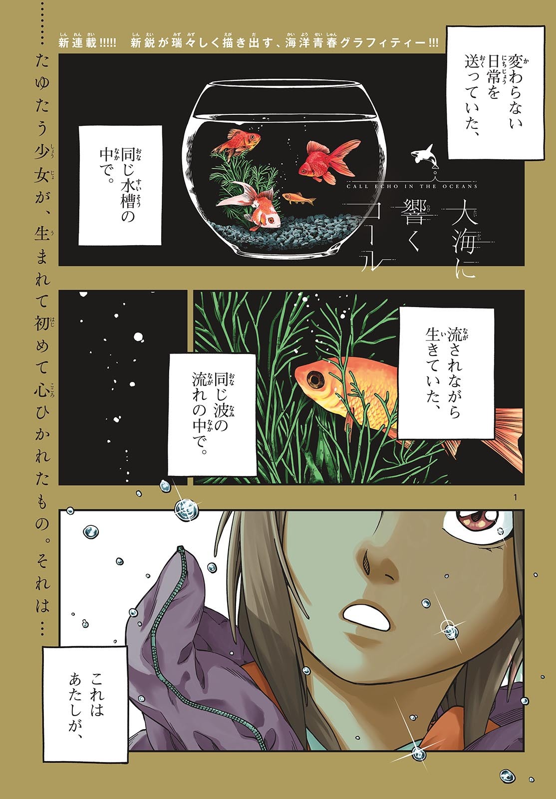 Taikai ni Hibiku Call Chapter 1 1ページ