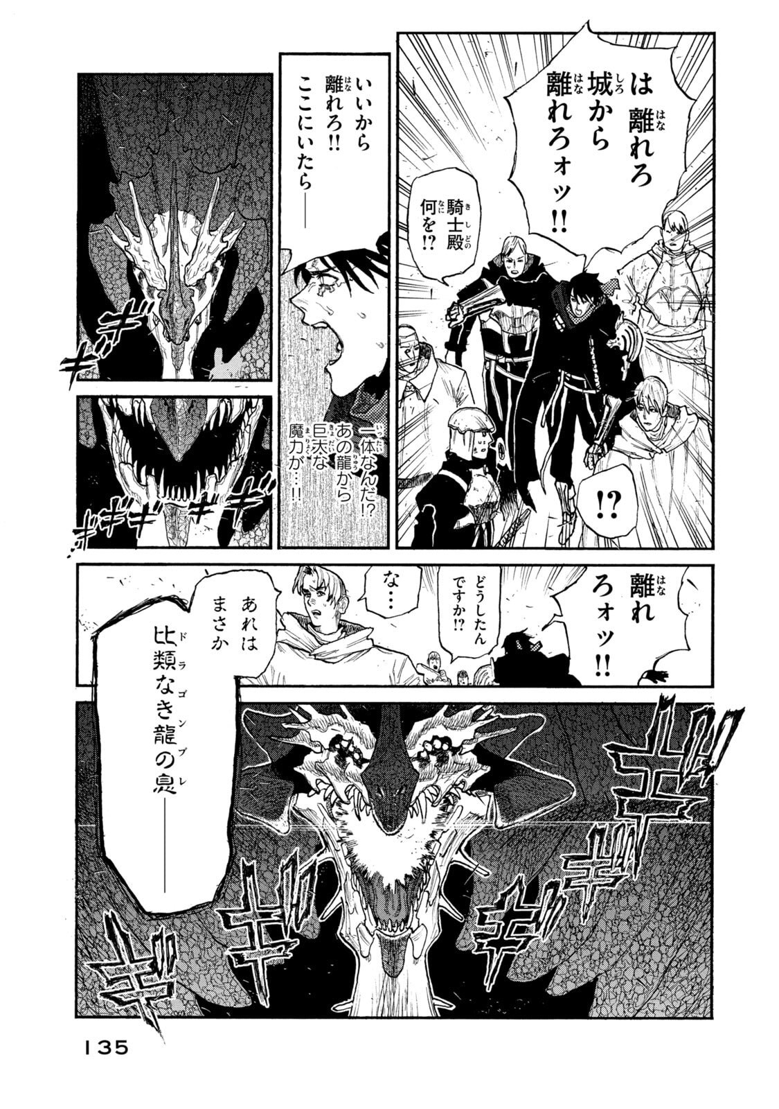Nigoru Hitomi de Nani wo Negau - Highserk Senki Chapter 24 17ページ