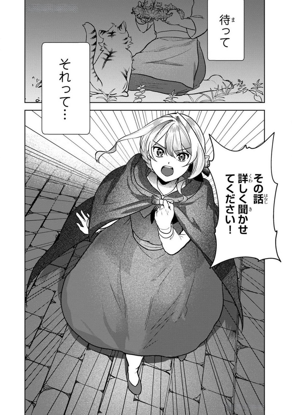 Konyaku Haki Shita wo Baka na Ouji wa Hottoite, Akuyaku Reijou wa Seirei no Mori de Shiawase ni Narimasu. Chapter 10 22ページ