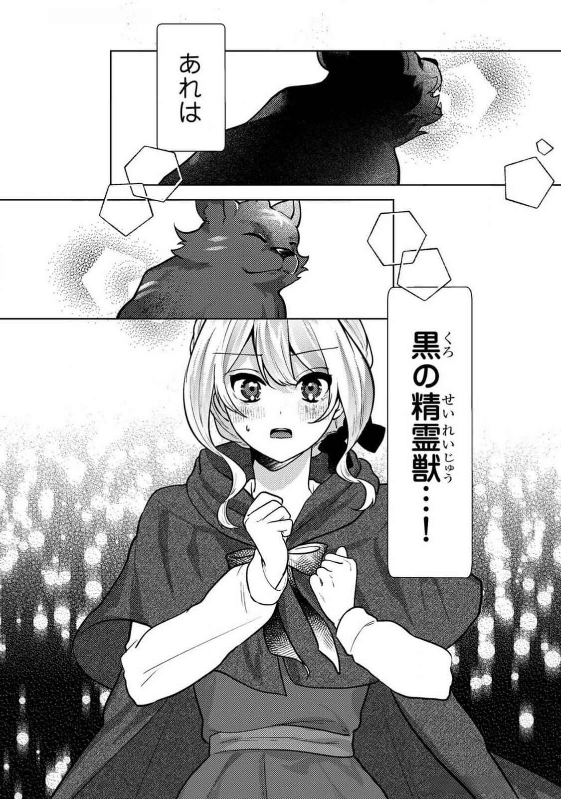 Konyaku Haki Shita wo Baka na Ouji wa Hottoite, Akuyaku Reijou wa Seirei no Mori de Shiawase ni Narimasu. Chapter 10 8ページ