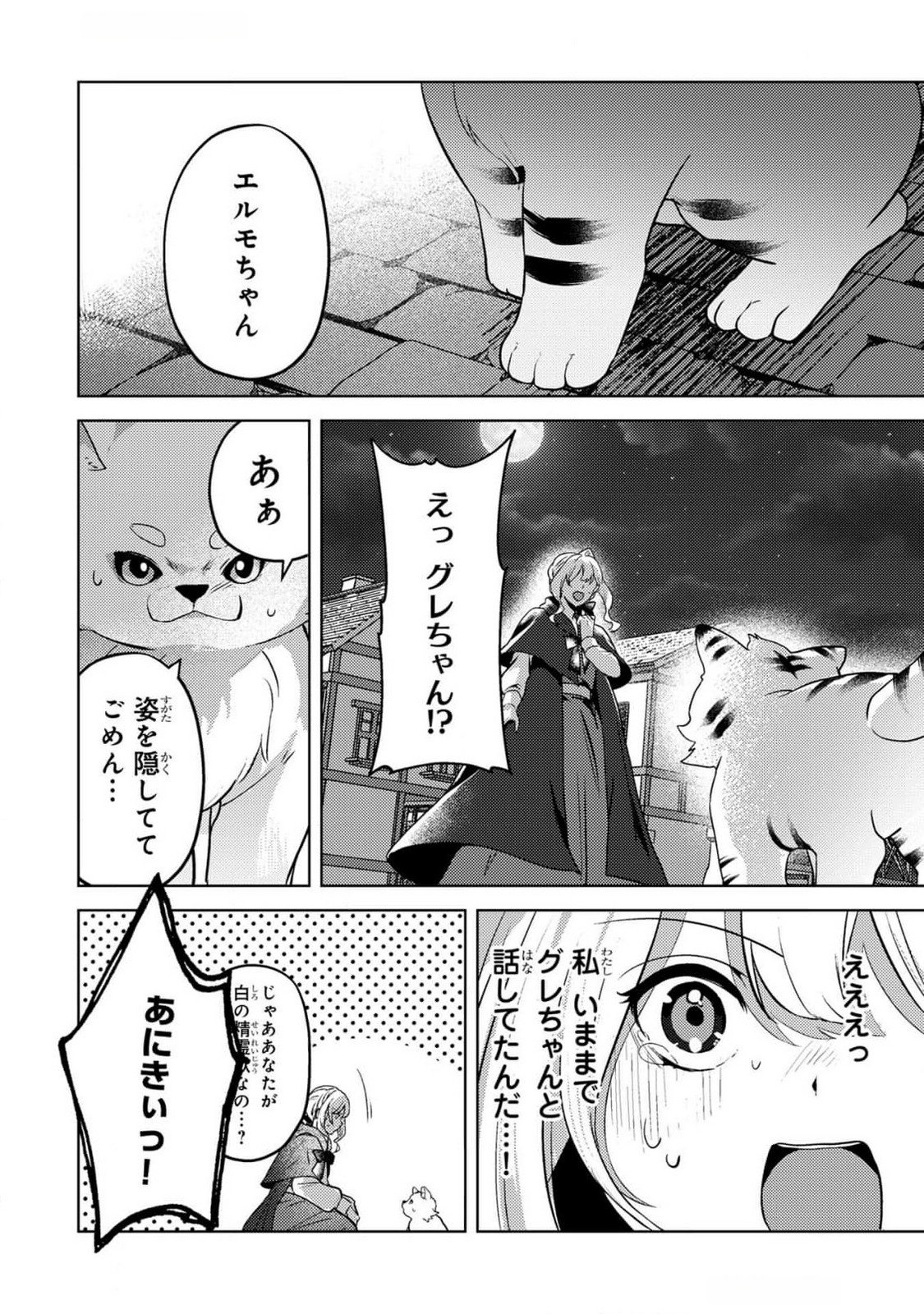 Konyaku Haki Shita wo Baka na Ouji wa Hottoite, Akuyaku Reijou wa Seirei no Mori de Shiawase ni Narimasu. Chapter 11 14ページ