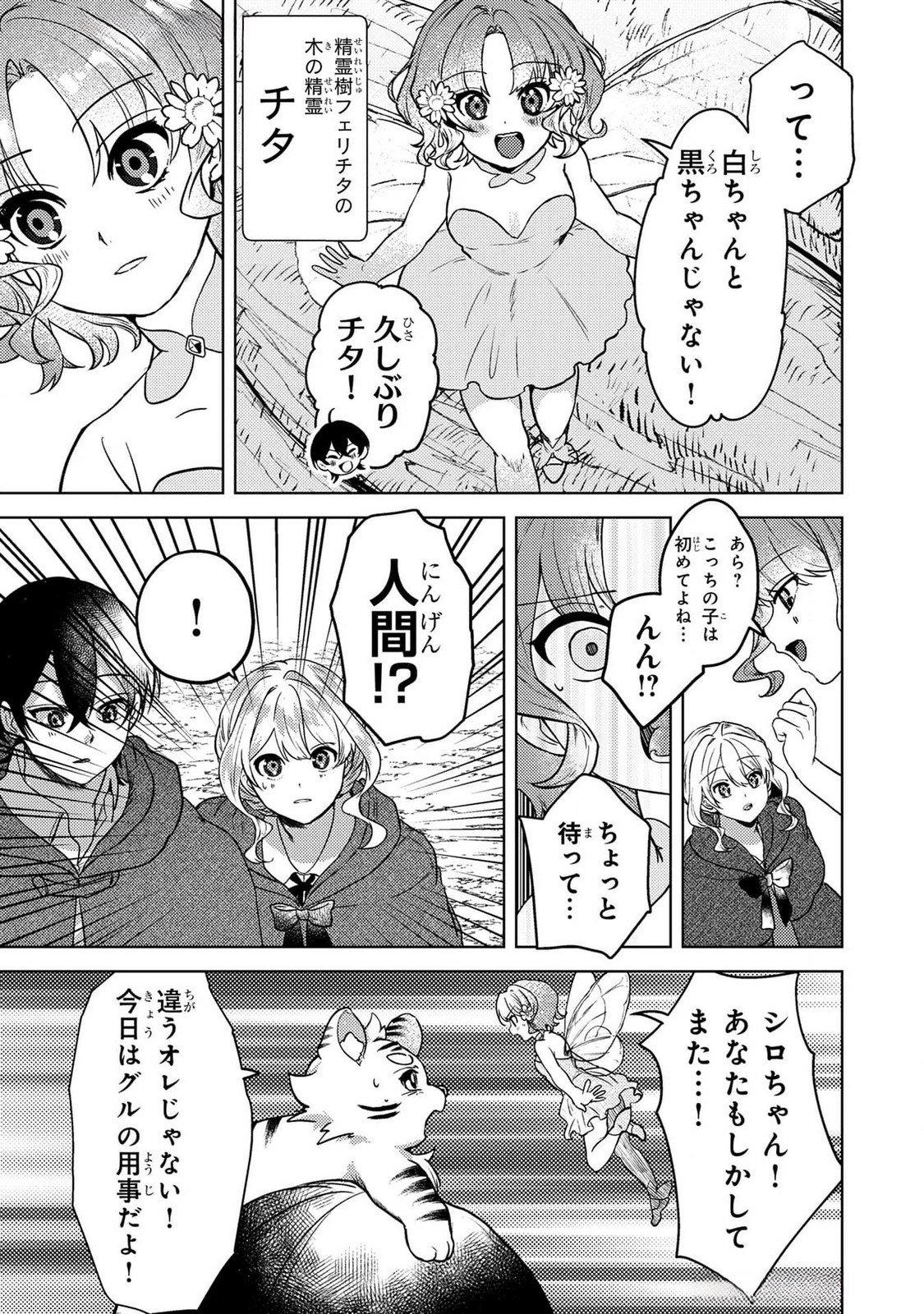 Konyaku Haki Shita wo Baka na Ouji wa Hottoite, Akuyaku Reijou wa Seirei no Mori de Shiawase ni Narimasu. Chapter 14 9ページ