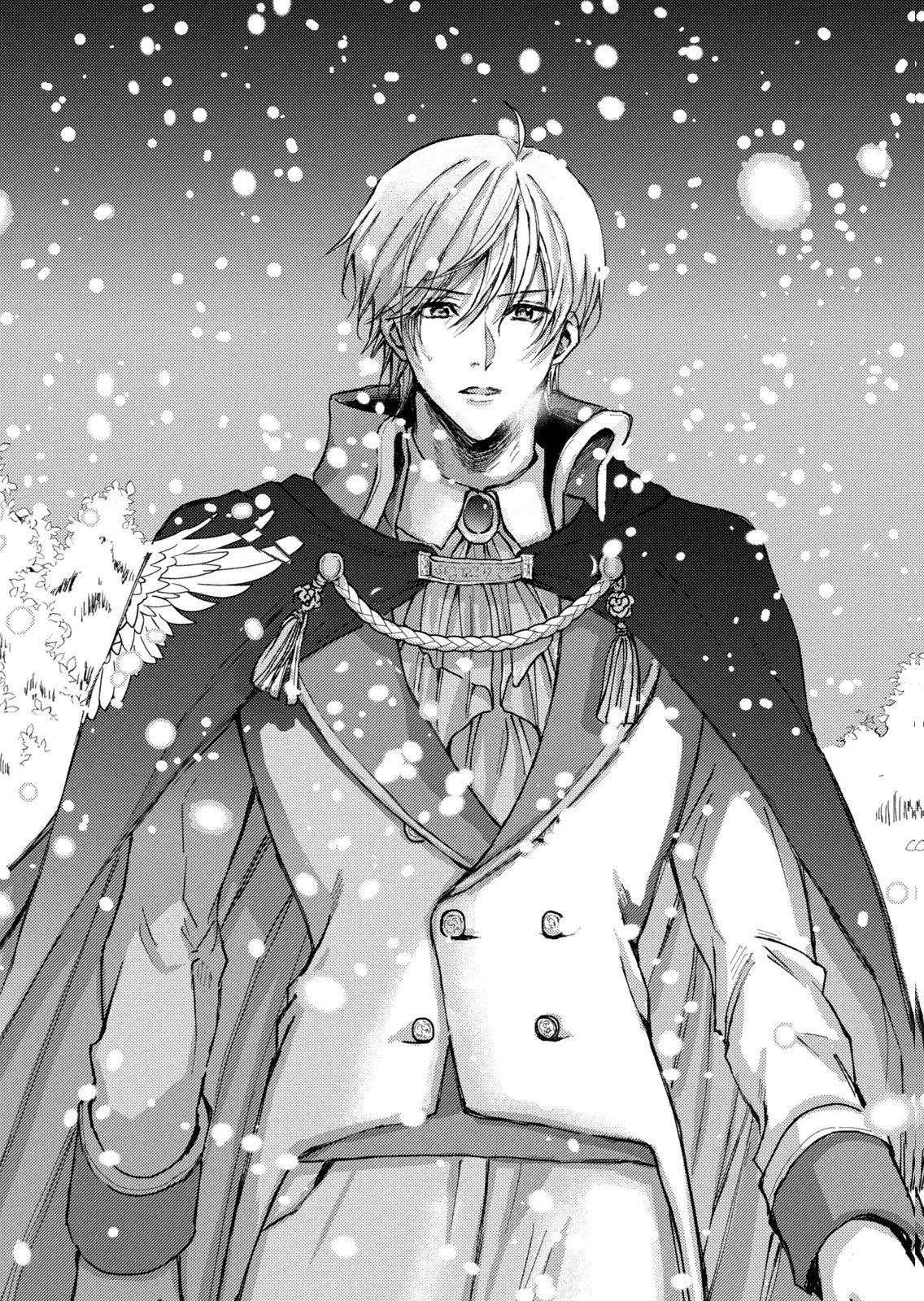 Ouhi-sama wa Rikon shitai - Isekai kara Seijo-sama ga Kita no de, Mou Oyaku Gomen desu wa ne? Chapter 29 29ページ