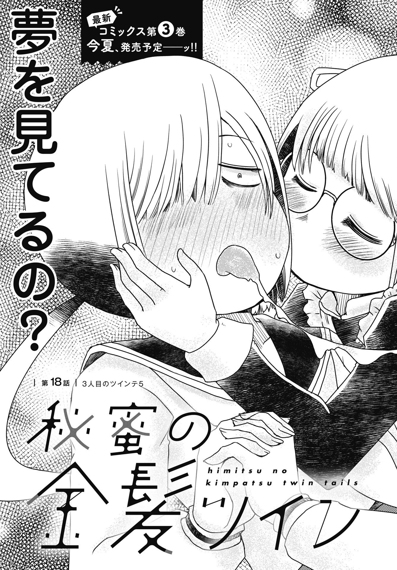 Himitsu no Kinpatsu Twintails Chapter 18 3ページ