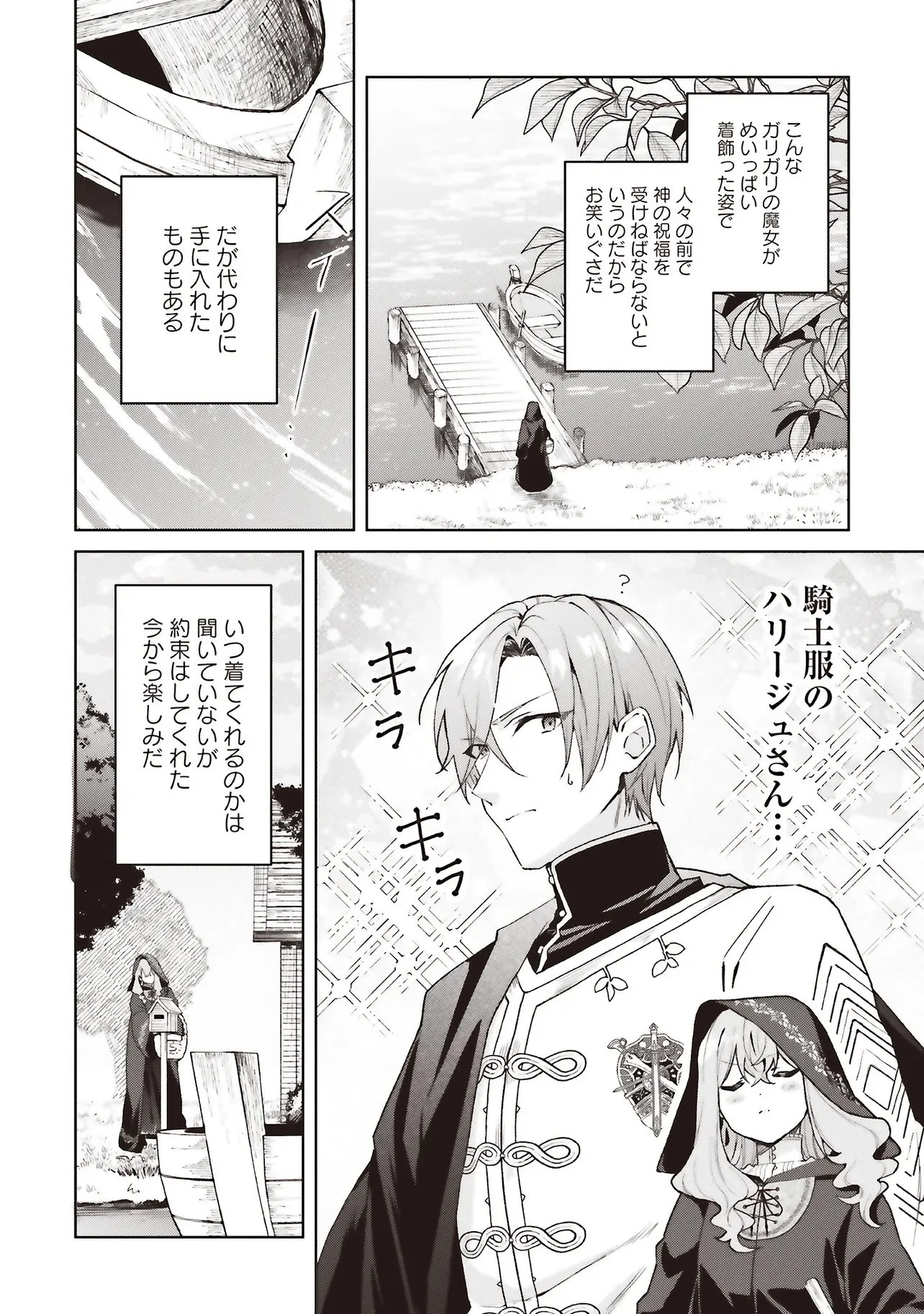 Doumo, Suki na Hito ni Horegusuri o Irai Sareta Majo desu. Chapter 28.2 3ページ