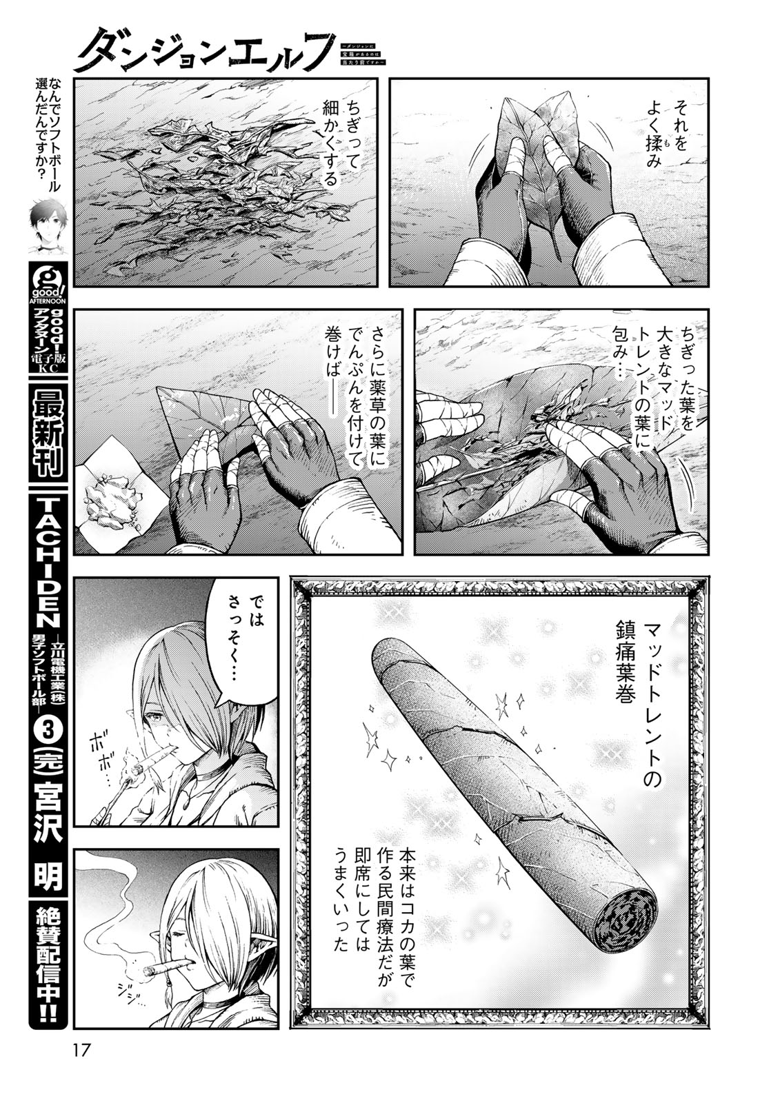 Dungeon Elf: Dungeon ni Takarabako ga Aru no wa Atarimae desu ka? Chapter 1 15ページ