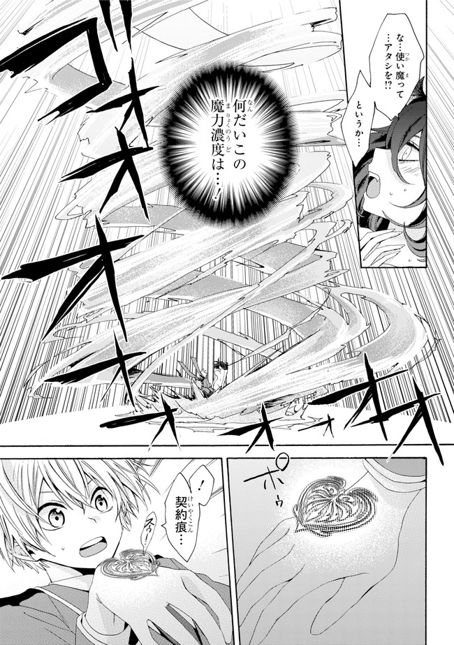 Kinsou no Vermeil - Gakeppuchi Majutshi wa Saikyou no Yakusai to Mahou Sekai o Tsukisusumu Chapter 0.1 17ページ