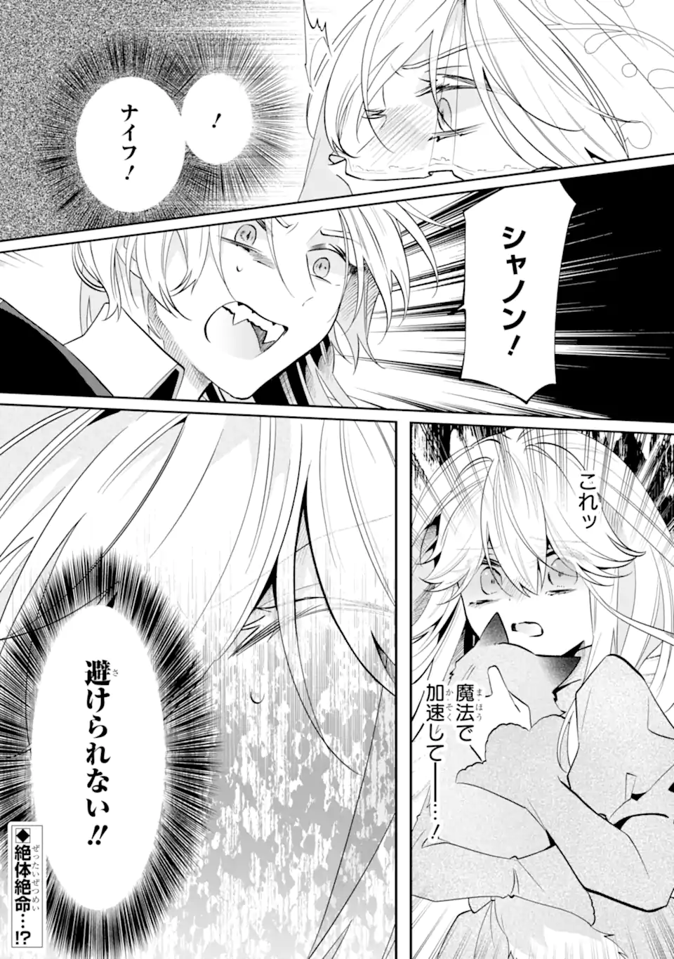 Okazari no Sumeragi-hi? Nani sore Tenshokudesu! Chapter 11.3 11ページ