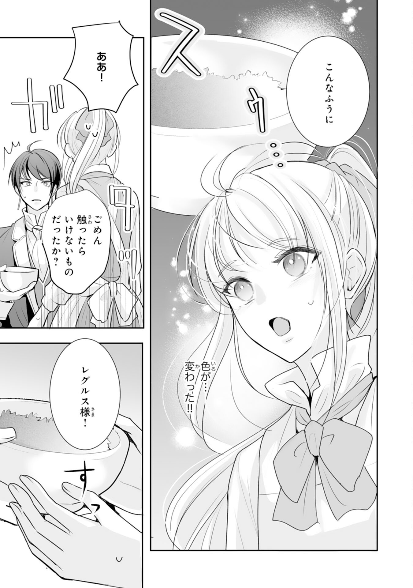 Youzumi Seijo to Tsuihou Saremashita ga, Rinkoku no Okakae Kusushu toshite Dai-2 no Jinsei Ouka Shimasu! Chapter 8 17ページ