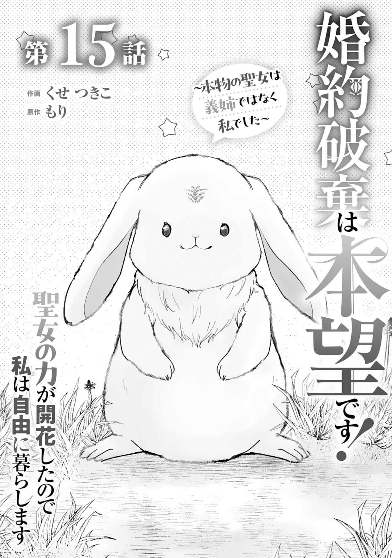 Konyaku Haki wa Honmou Desu! Seijo no Chikara ga Kaika Shita no de Watashi wa Jiyuu ni Kurashimasu Chapter 15 1ページ