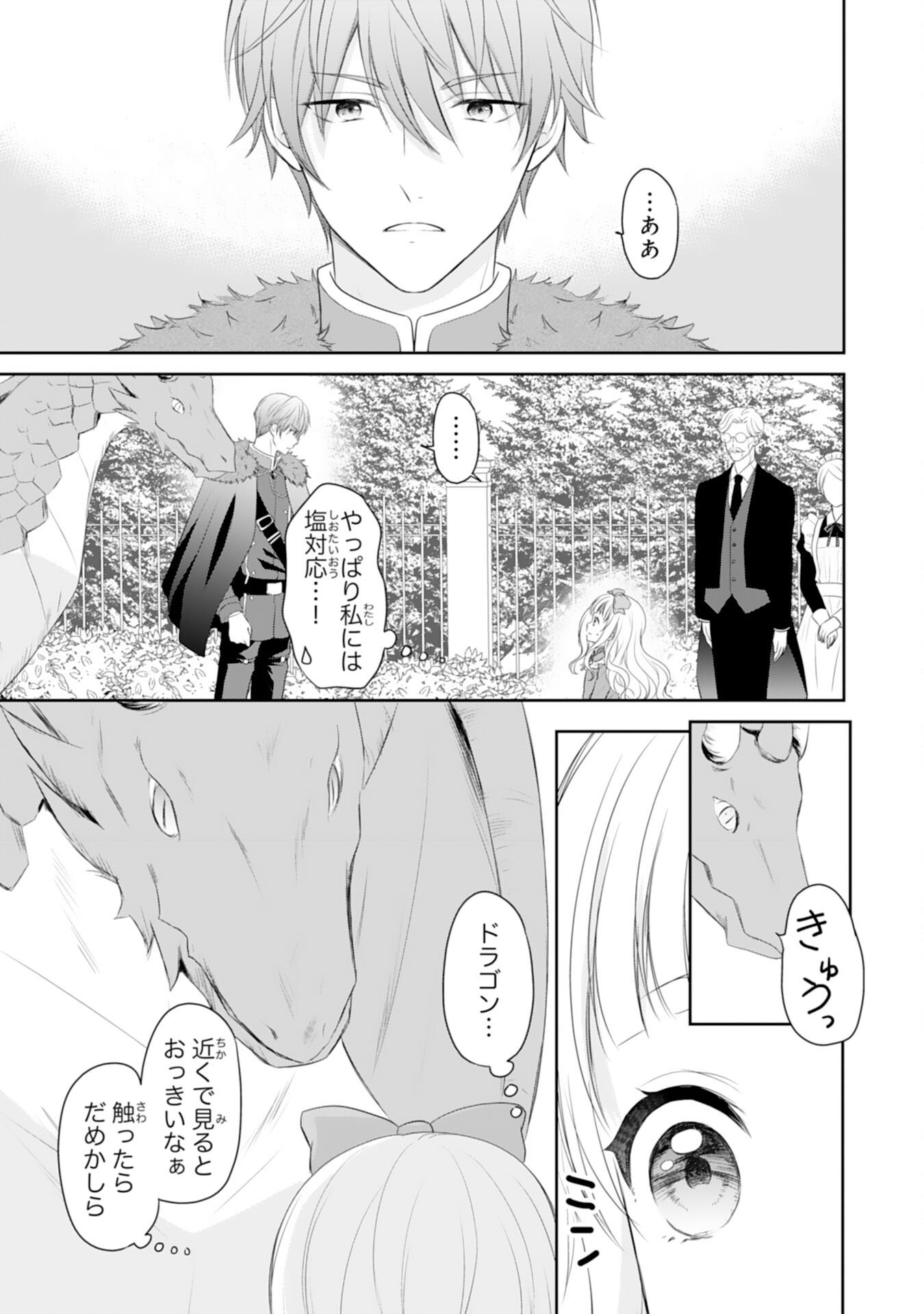 Roku-Sai no Oujo desu ga, Kiraware Ryuukishi ni Totsugu Koto ni Narimashita Chapter 3 27ページ