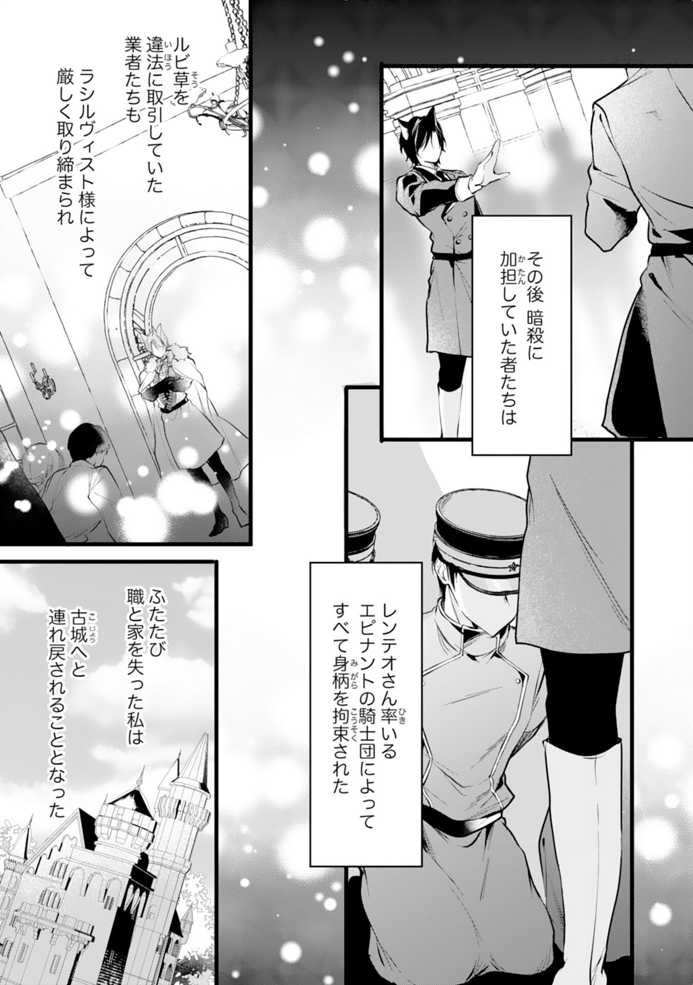 Akujo no Retteru wo Harareta Tsuihou Reijou desu ga, Saikyou Heika no Dekiai ni Tsukamarimashita Chapter 16 9ページ