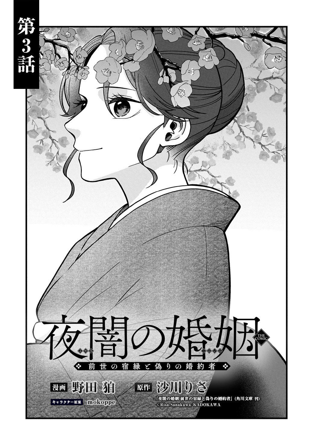 Yoyami no Konin Zense no Shukuen to Itsuwari no Konyakusha Chapter 3 3ページ