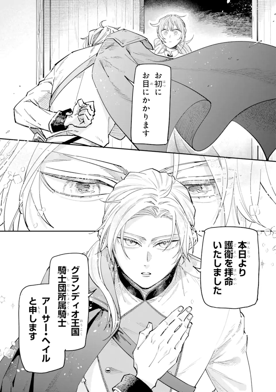 Yuuhei sareta Enka no Koushaku Reijou to Bukiyou na Goei Kishi Chapter 0 9ページ