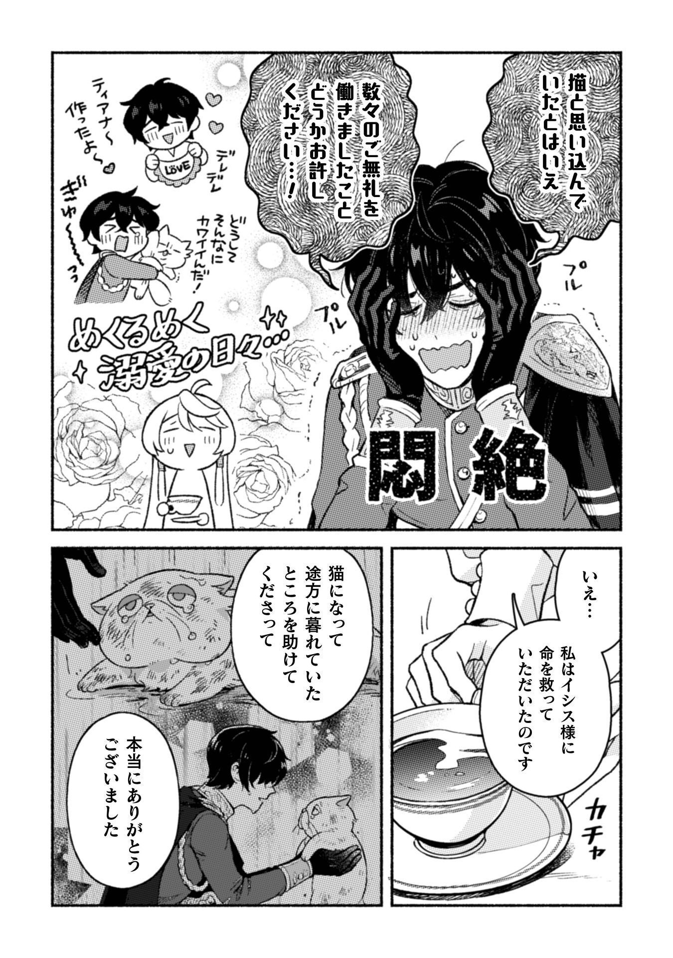 Nekura Kishi ni Yoru Dekiai Mankitsu-chuu nu Busa Neko, Jitsu wa Seijo desu! Chapter 11 12ページ