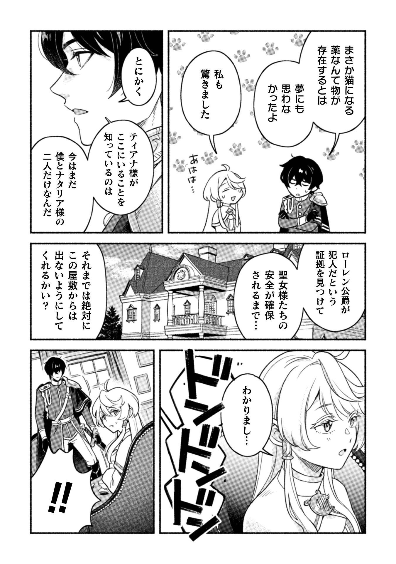 Nekura Kishi ni Yoru Dekiai Mankitsu-chuu nu Busa Neko, Jitsu wa Seijo desu! Chapter 11 20ページ