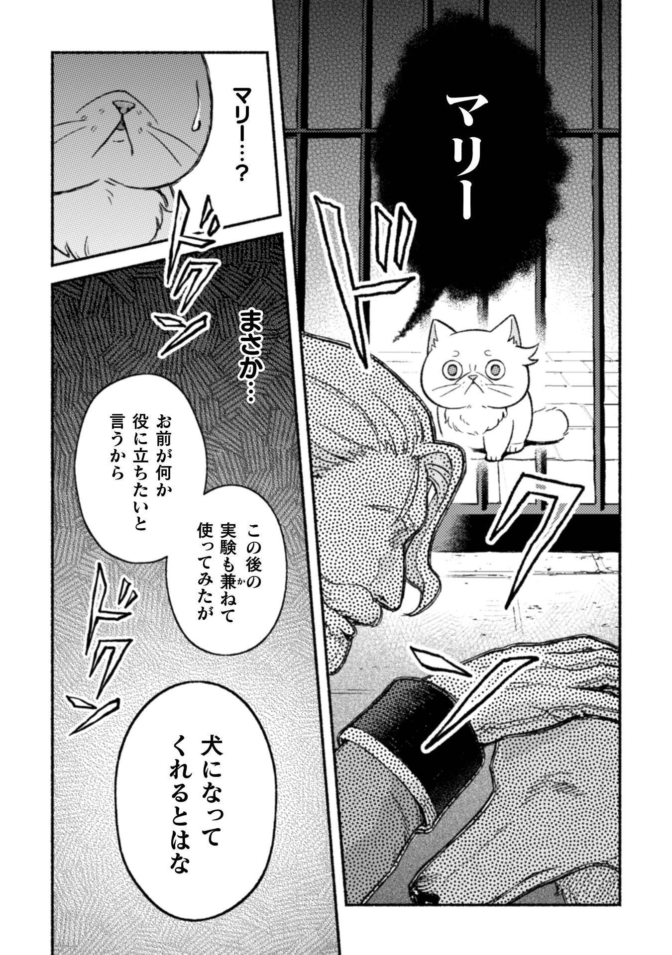 Nekura Kishi ni Yoru Dekiai Mankitsu-chuu nu Busa Neko, Jitsu wa Seijo desu! Chapter 12 14ページ