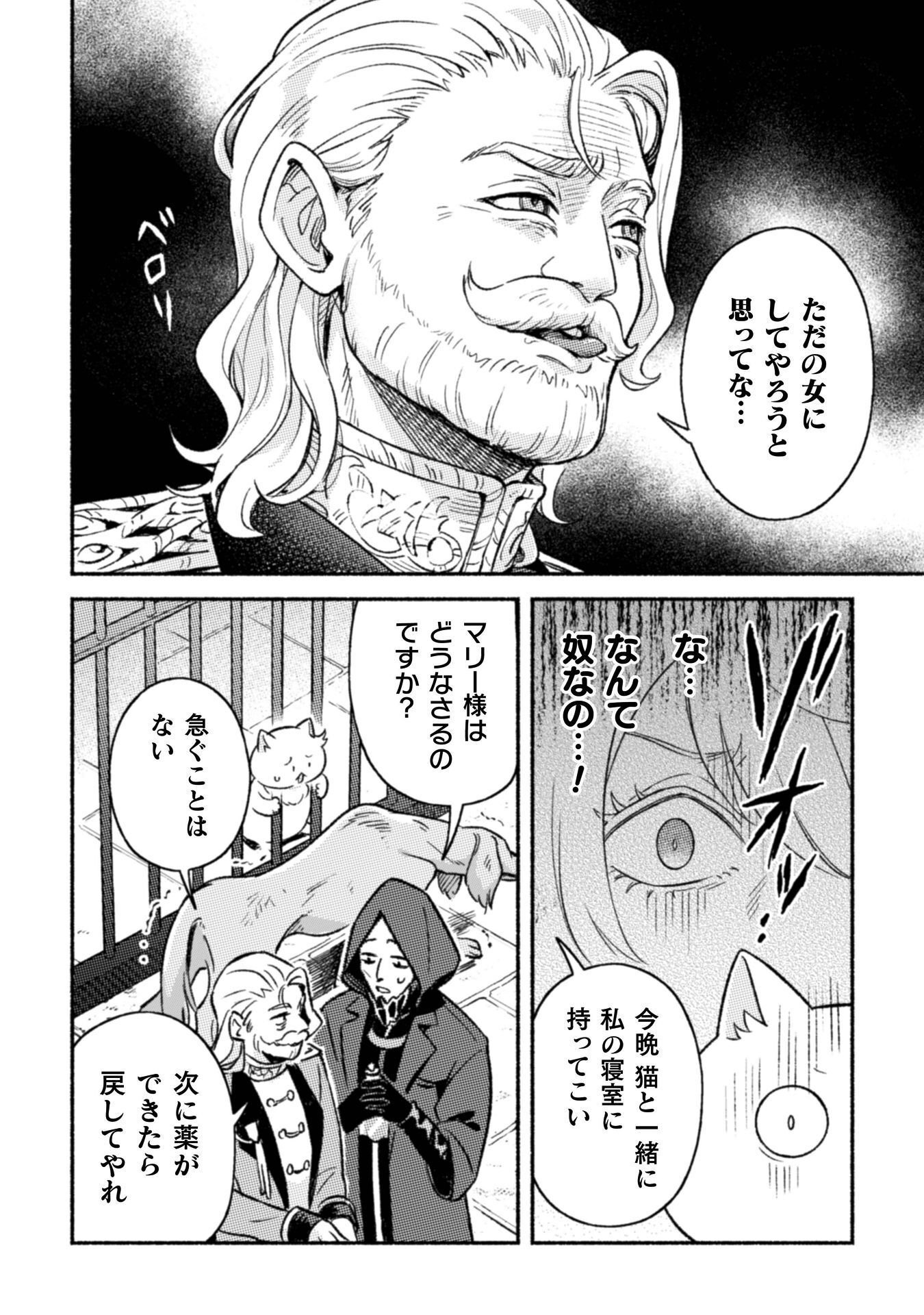 Nekura Kishi ni Yoru Dekiai Mankitsu-chuu nu Busa Neko, Jitsu wa Seijo desu! Chapter 12 19ページ