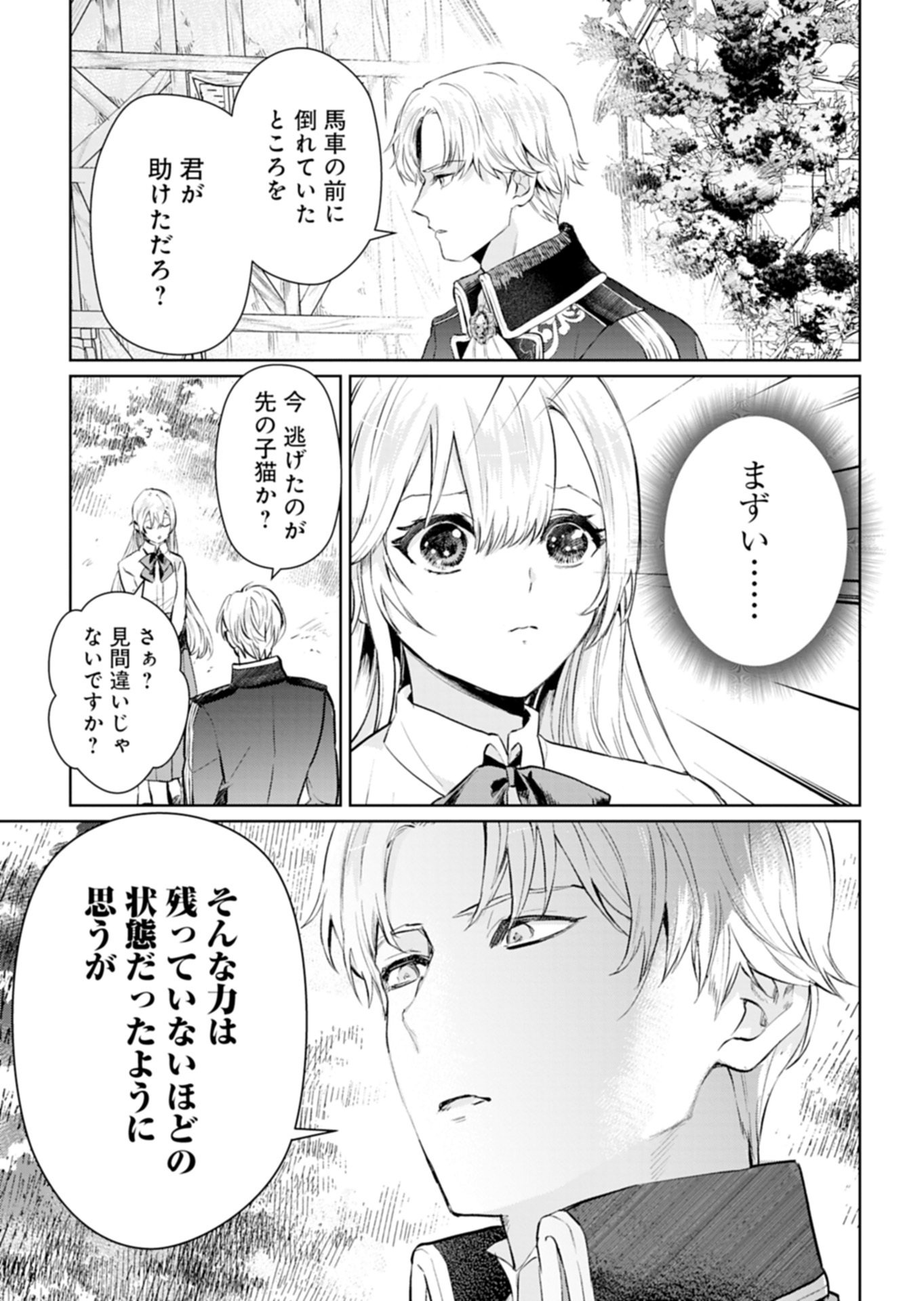 Sekai Saikyou no Maryoku Mochi wa Heion ni Kurashitai Nazeka Outaishi Denka ni Shuuchaku sareteimasu Chapter 1 25ページ