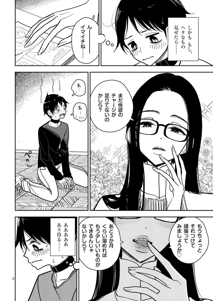 Sono Honoo no Na wa Seiheki Chapter 4 2ページ