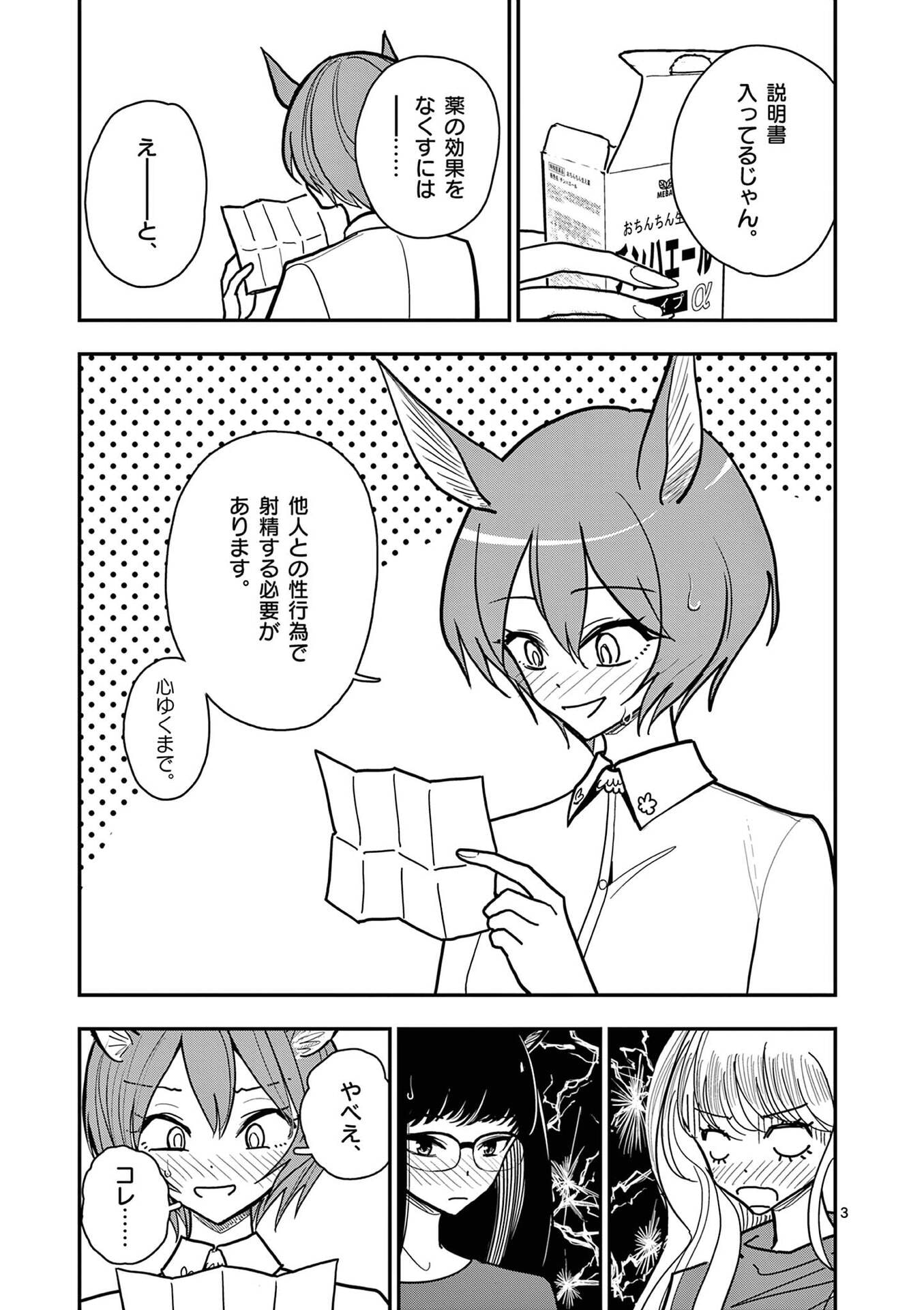 Sono Honoo no Na wa Seiheki Chapter 32.5 3ページ