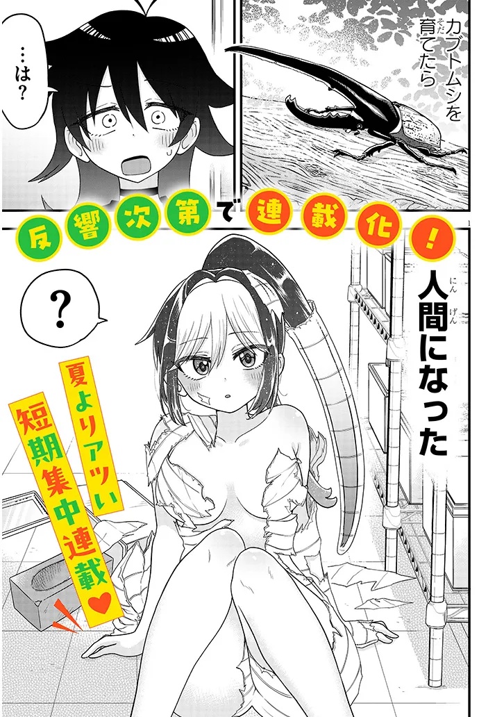 Claire-chan Shiiku Nikki Chapter 1 1ページ