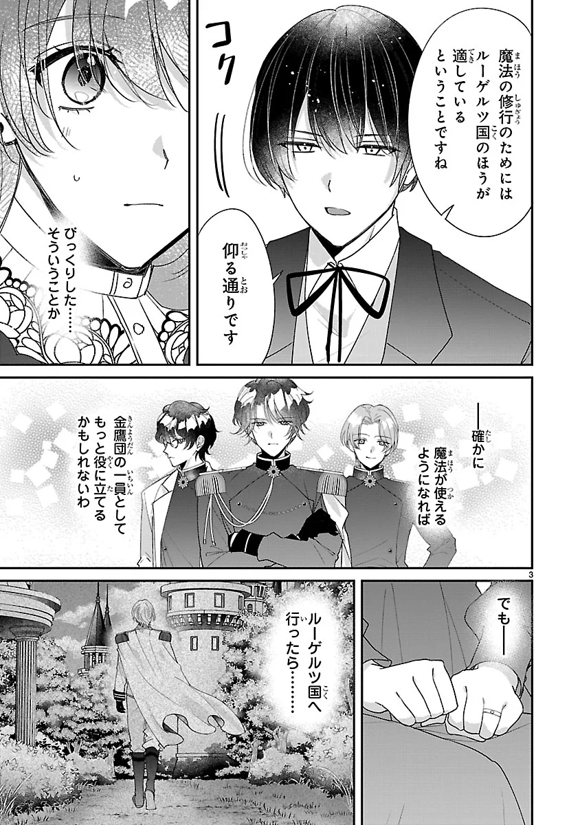Ore-sama Outaishi ni Hirowareta Gakeppuchi Reijou, Okazarigawa Hi ni Naru... Hazu ga Dekiaisaretemasu! Chapter 19 3ページ