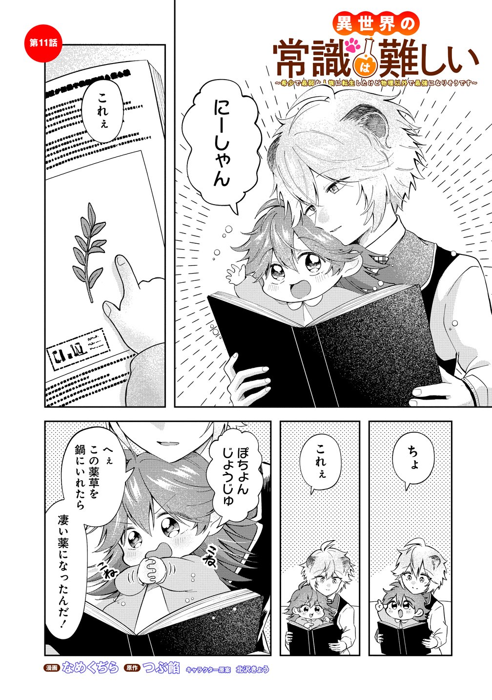 Isekai no Joushiki wa Muzukashii Chapter 11 1ページ