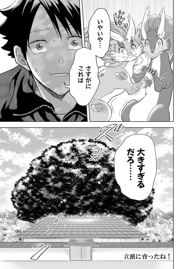 Kami no Niwatsuki Kusunoki-tei Chapter 41 17ページ
