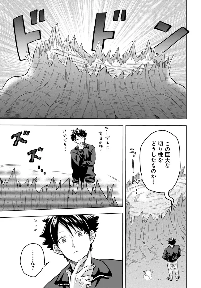 Kami no Niwatsuki Kusunoki-tei Chapter 43 17ページ