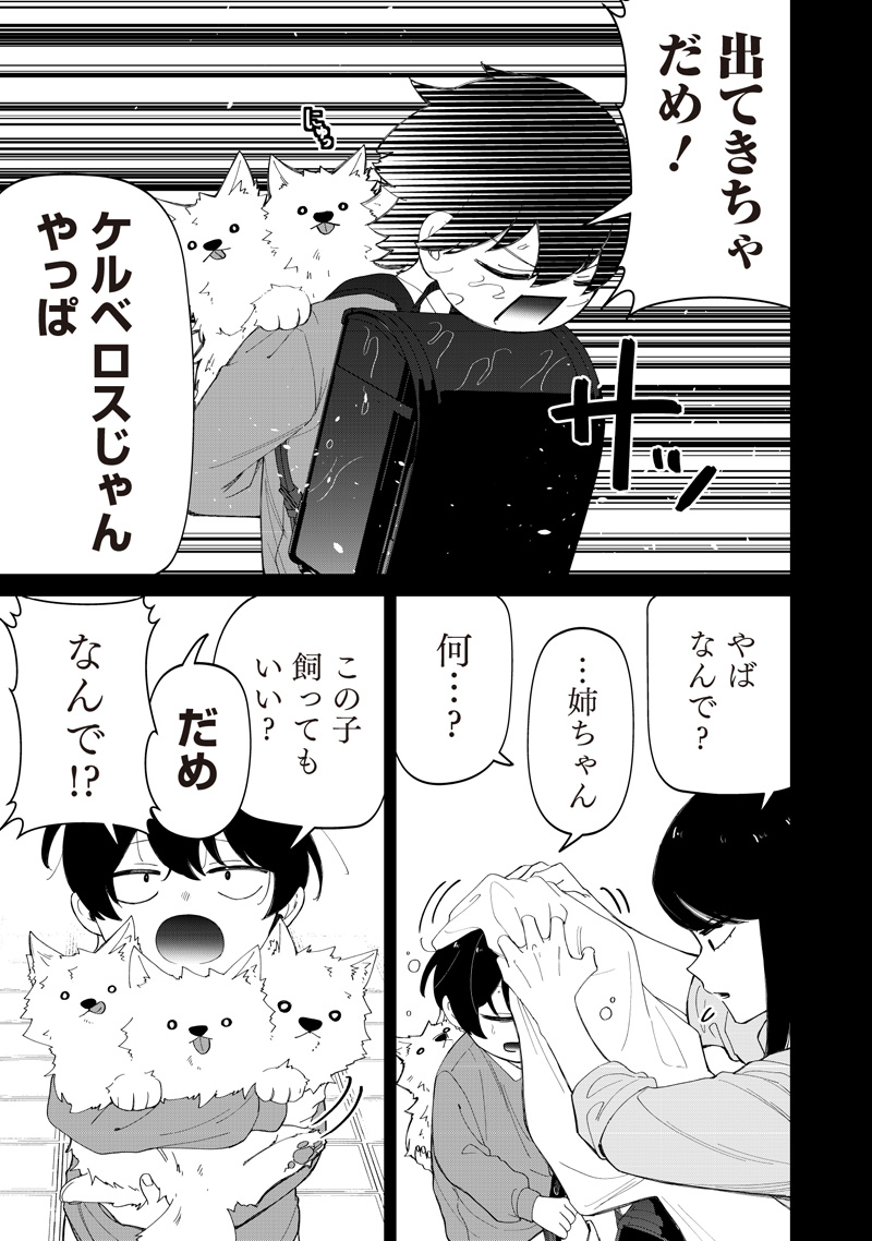Shiretto Sugee Koto Iteru Gal: Shiritsu Para no Marukoukou no Nichijou Chapter 49 5ページ