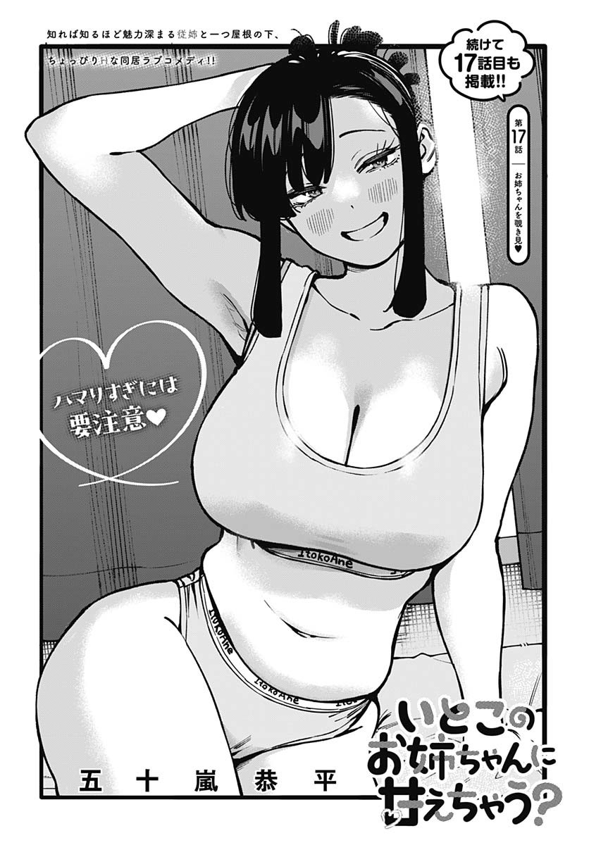 Itoko no Onee-chan ni Amaechau? Chapter 17 2ページ