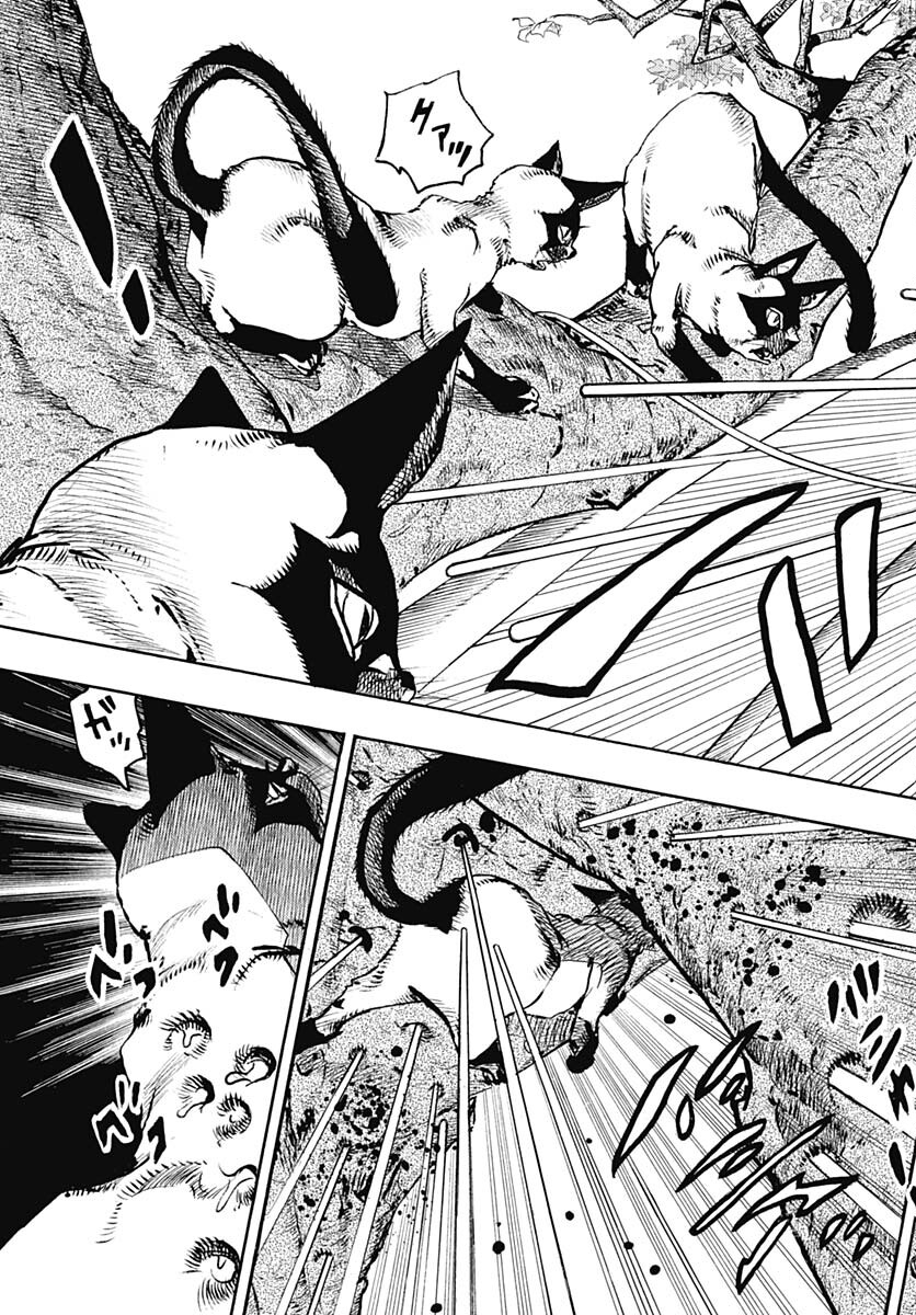 JoJo no Kimyou na Bouken Part 9: The JOJOLands Chapter 7 24ページ