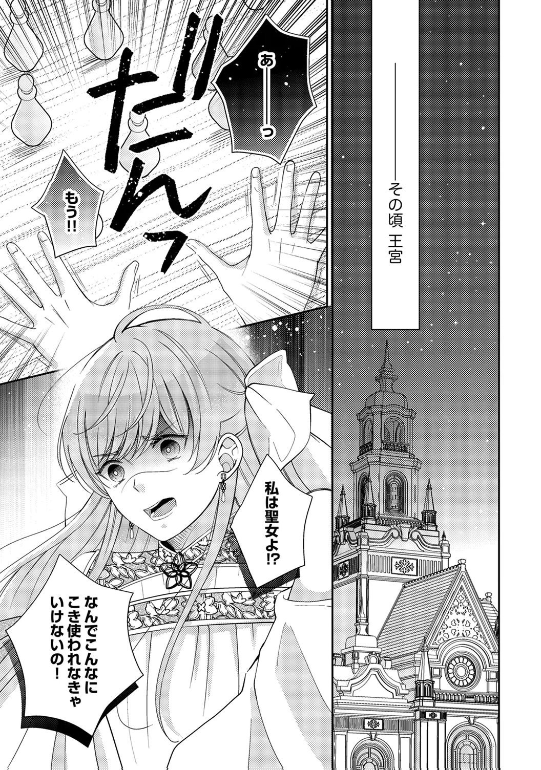 Ane no Spare to Yobareta Migawari Jinsei wa, Kyou de Yameru Koto ni Shimasu Chapter 3 29ページ