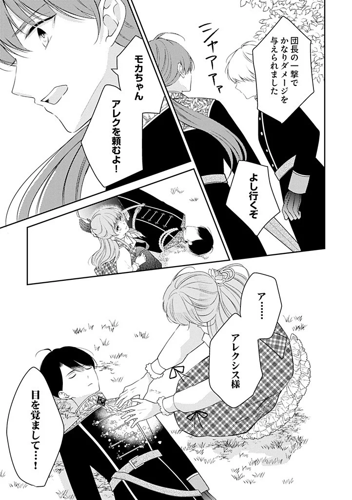 Ane no Spare to Yobareta Migawari Jinsei wa, Kyou de Yameru Koto ni Shimasu Chapter 11.3 1ページ