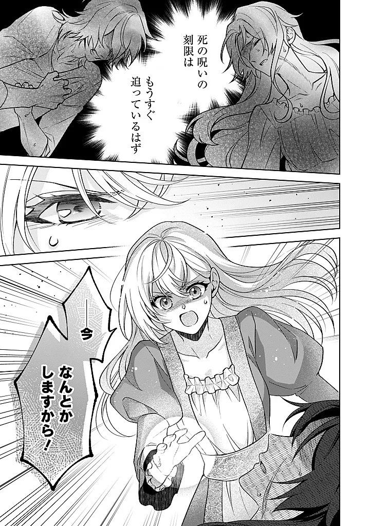 Seishin Seijo: Konyaku Hakisareta Tsuihou Seijo desu ga, Ookami Ouji no Noroi wo Toite Dekiaisaretemasu - Imasara Kuni ni Modorette Iwarete mo Osoi desu! Chapter 27 17ページ