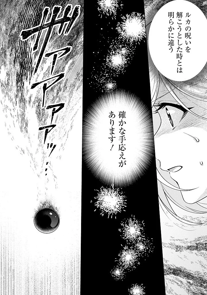 Seishin Seijo: Konyaku Hakisareta Tsuihou Seijo desu ga, Ookami Ouji no Noroi wo Toite Dekiaisaretemasu - Imasara Kuni ni Modorette Iwarete mo Osoi desu! Chapter 28 4ページ
