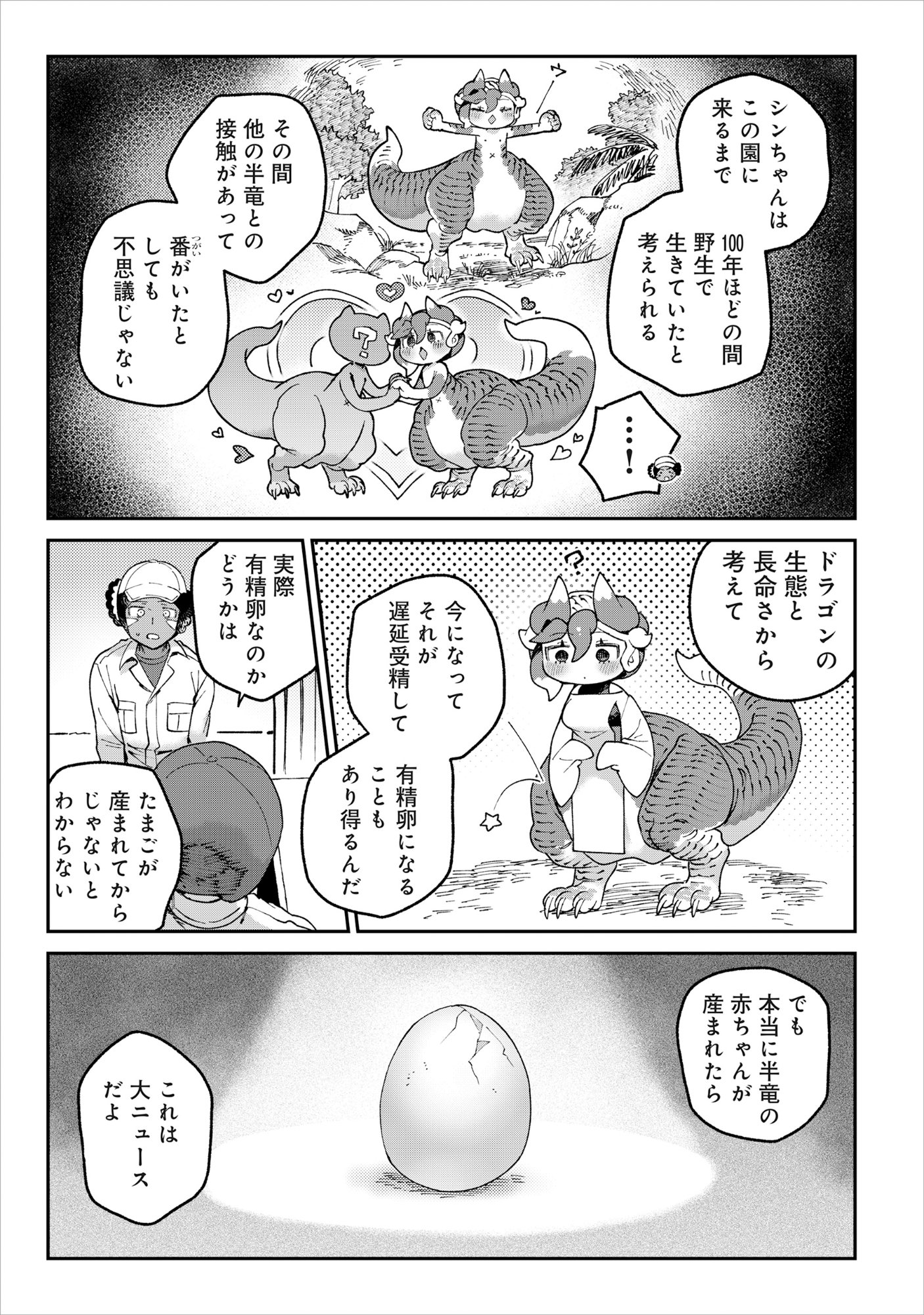 Tougarashi Dragon no Shin Chapter 6 3ページ