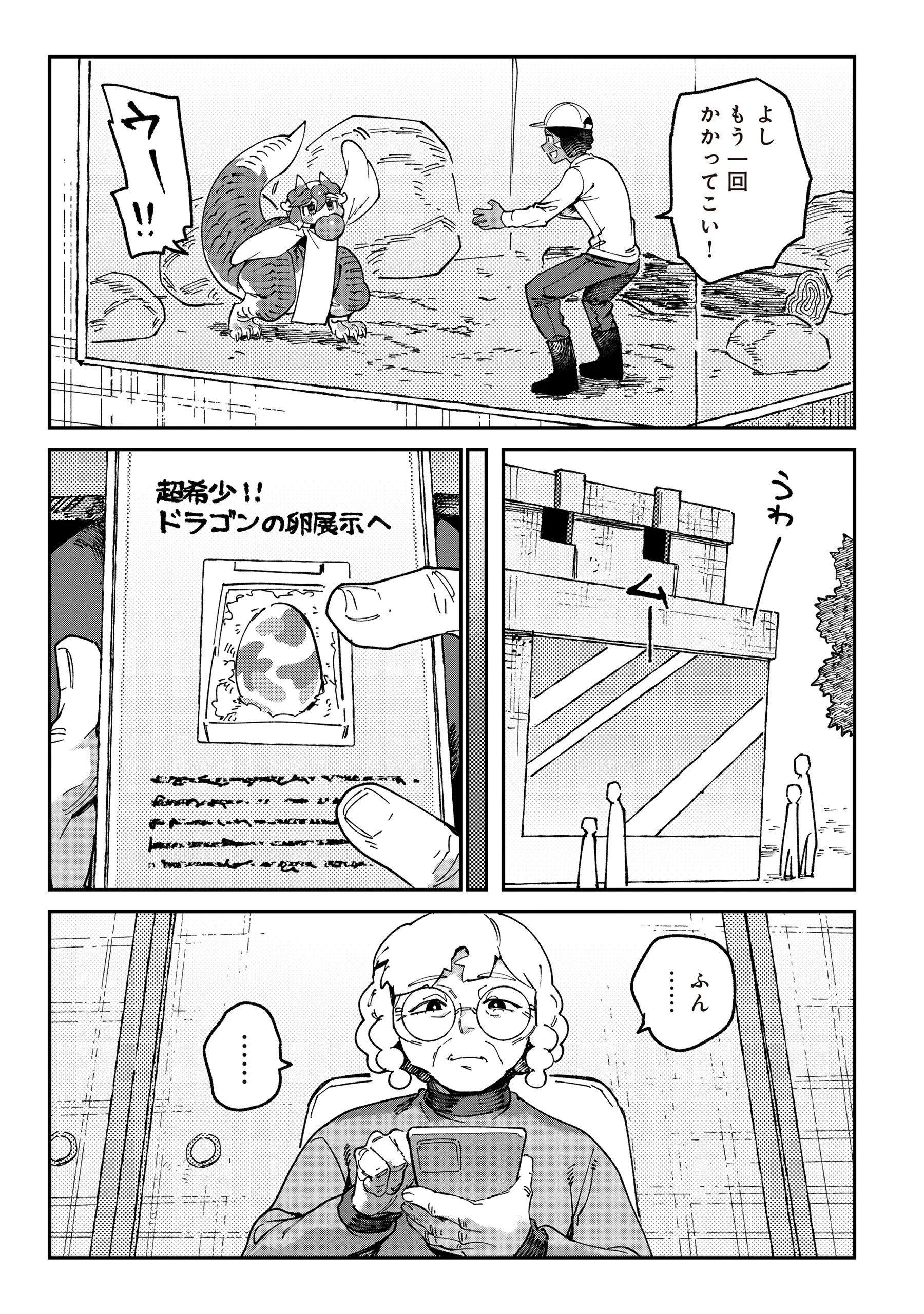 Tougarashi Dragon no Shin Chapter 7 23ページ